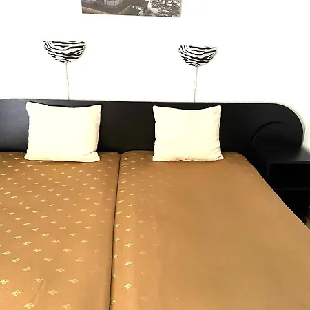 Homestay szállás Casa Galbena Paflora Saturn